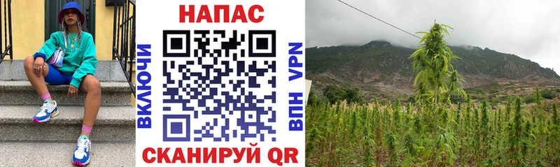 Купить закладку ГАШ  Alpha-PVP  АМФ  Меф мяу мяу  Каннабис  Кокаин  Бодайбо