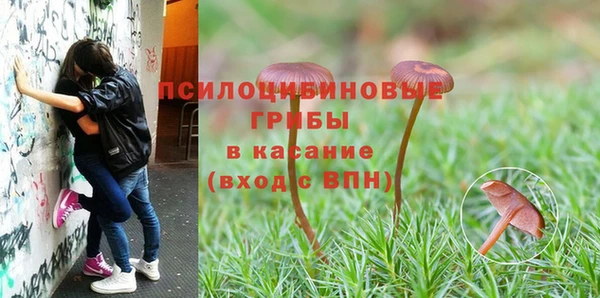 mdpv Зеленодольск