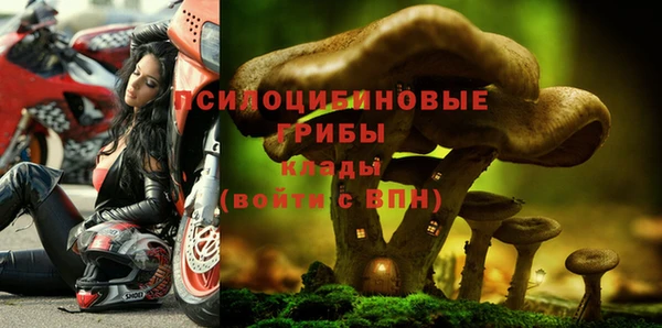 гидра Зерноград