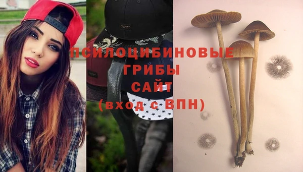 PSILOCYBIN Зеленокумск