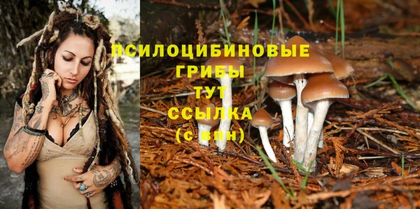 гидра Зерноград