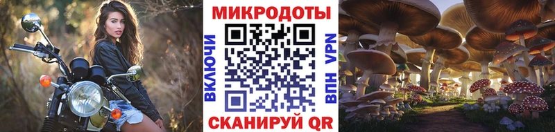 Псилоцибиновые грибы Magic Shrooms  Купить где  Бодайбо 