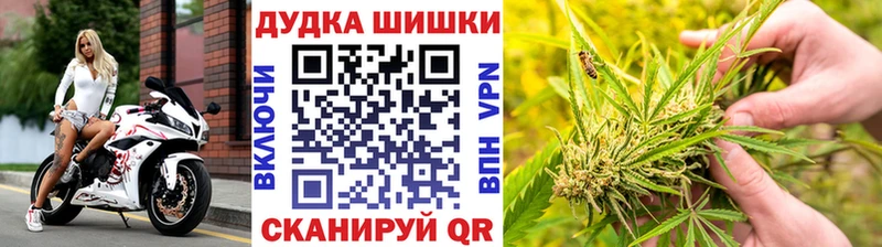 Купить  Бодайбо  МАРИХУАНА сатива 